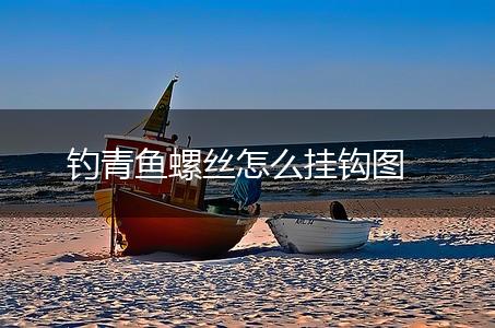 钓青鱼螺丝怎么挂钩图,第1张