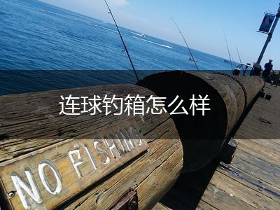 连球钓箱怎么样,第1张