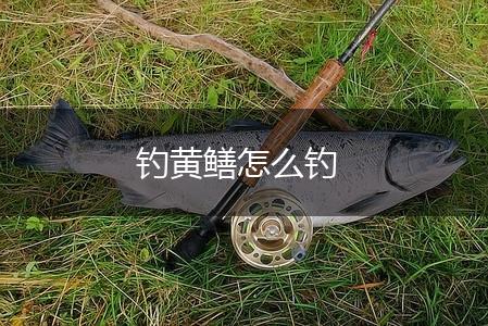 钓黄鳝怎么钓,第1张