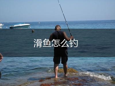 滑鱼怎么钓,第1张