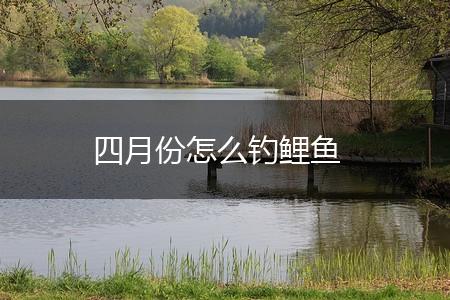 四月份怎么钓鲤鱼,第1张