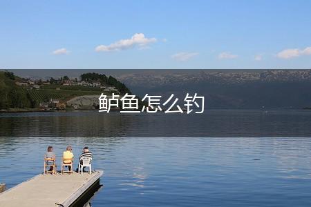 鲈鱼怎么钓,第1张