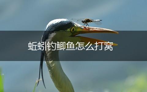 蚯蚓钓鲫鱼怎么打窝,第1张