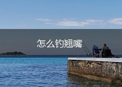 怎么钓翘嘴,第1张