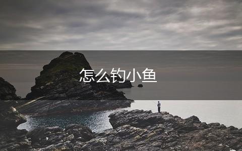 怎么钓小鱼,第1张