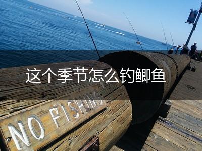 这个季节怎么钓鲫鱼,第1张