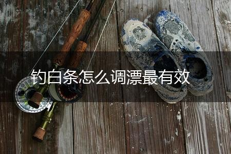 钓白条怎么调漂最有效,第1张