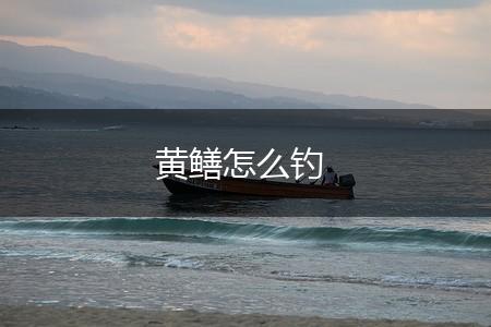 黄鳝怎么钓,第1张