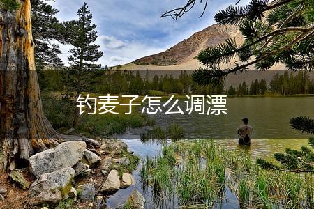钓麦子怎么调漂,第1张