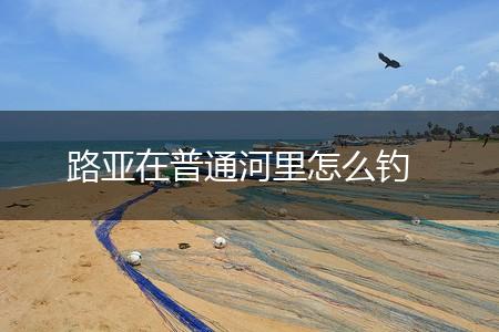路亚在普通河里怎么钓,第1张