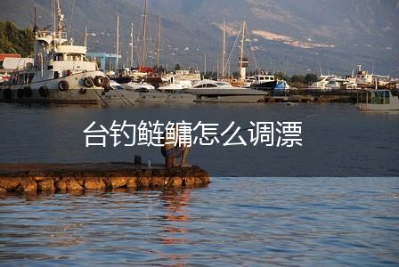 台钓鲢鳙怎么调漂,第1张