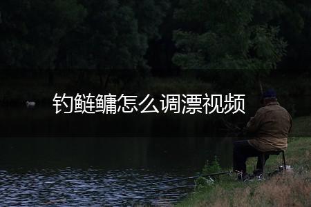 钓鲢鳙怎么调漂视频,第1张