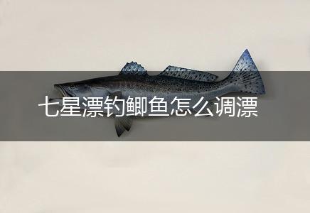 七星漂钓鲫鱼怎么调漂,第1张