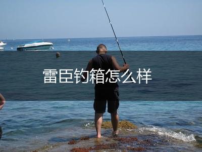 雷臣钓箱怎么样,第1张