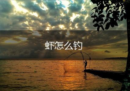 虾怎么钓,第1张
