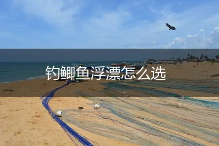 钓鲫鱼浮漂怎么选,第1张