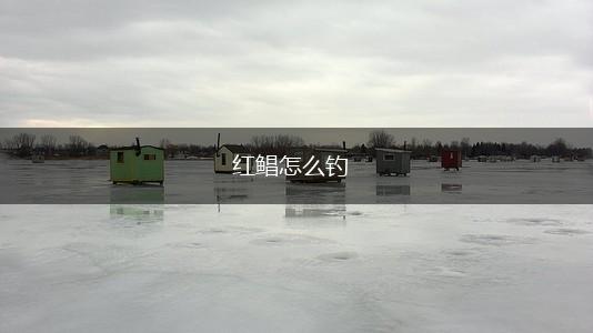 红鲳怎么钓,第1张
