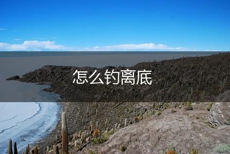怎么钓离底,第1张