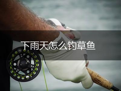 下雨天怎么钓草鱼,第1张