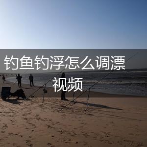 钓鱼钓浮怎么调漂视频,第1张