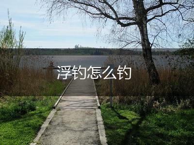 浮钓怎么钓,第1张