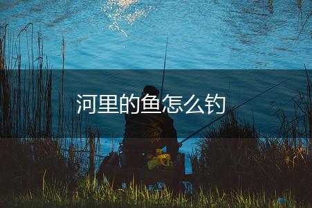 河里的鱼怎么钓,第1张