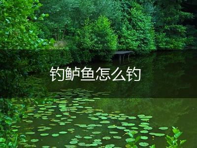 钓鲈鱼怎么钓,第1张