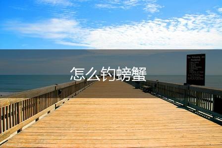怎么钓螃蟹,第1张