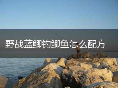 野战蓝鲫钓鲫鱼怎么配方,第1张