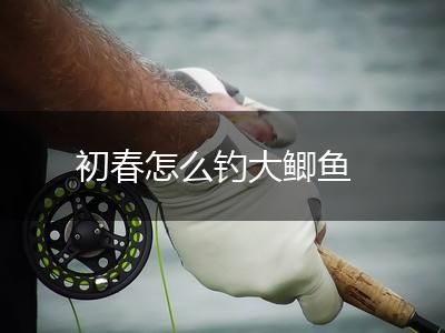 初春怎么钓大鲫鱼,第1张