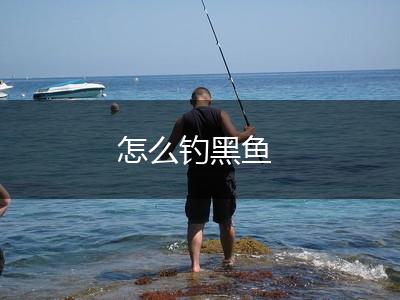 怎么钓黑鱼,第1张