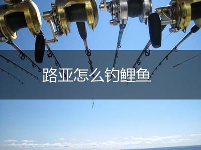 路亚怎么钓鲤鱼,第1张