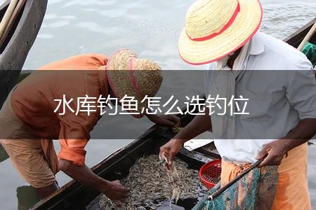 水库钓鱼怎么选钓位,第1张
