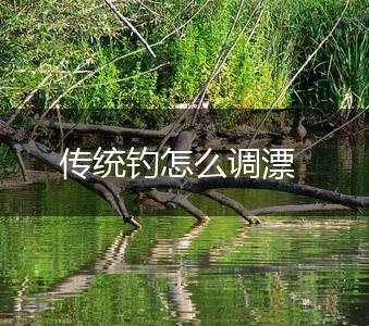 传统钓怎么调漂,第1张