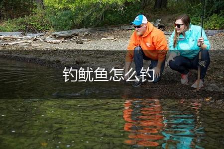 钓鱿鱼怎么钓,第1张