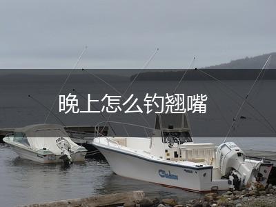 晚上怎么钓翘嘴,第1张
