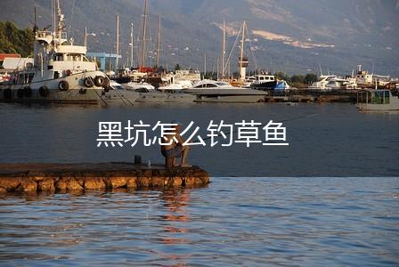 黑坑怎么钓草鱼,第1张