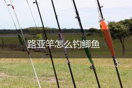 路亚竿怎么钓鲫鱼,第1张