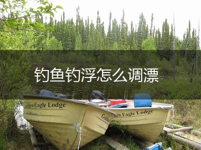 钓鱼钓浮怎么调漂,第1张
