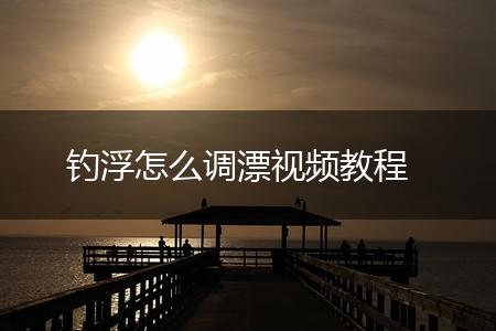 钓浮怎么调漂视频教程,第1张