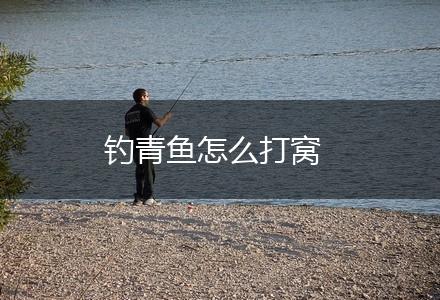 钓青鱼怎么打窝,第1张
