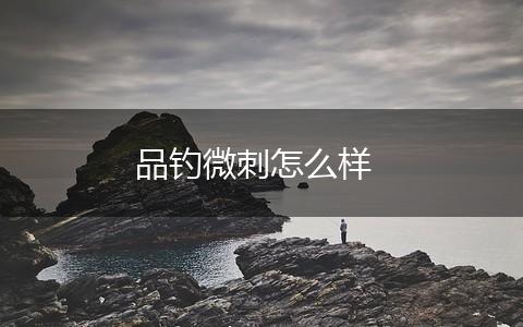 品钓微刺怎么样,第1张