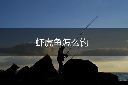 虾虎鱼怎么钓,第1张