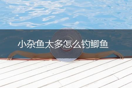 小杂鱼太多怎么钓鲫鱼,第1张