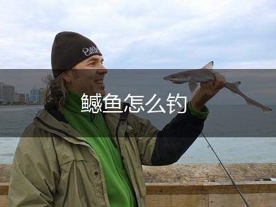 鳡鱼怎么钓,第1张