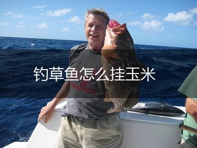 钓草鱼怎么挂玉米,第1张