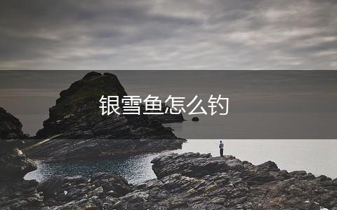 银雪鱼怎么钓,第1张
