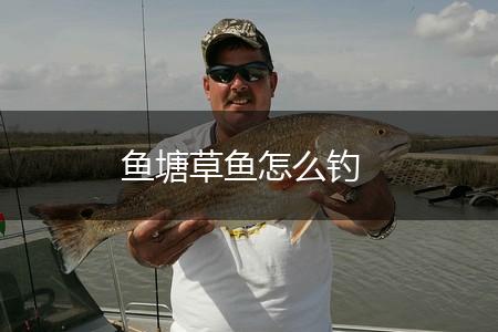 鱼塘草鱼怎么钓,第1张