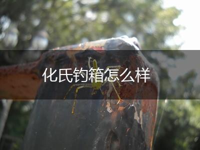 化氏钓箱怎么样,第1张