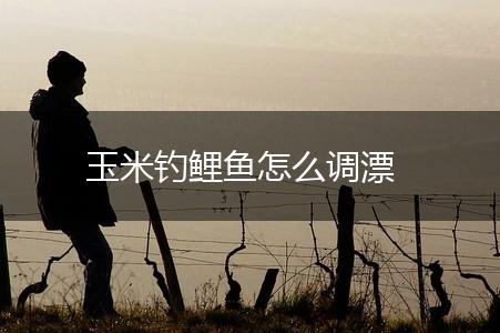 玉米钓鲤鱼怎么调漂,第1张